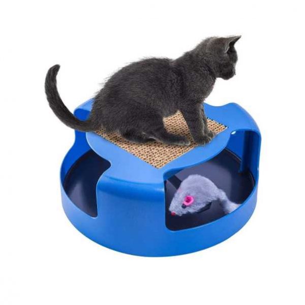 Παιχνίδι Γάτας Κυνήγι Ποντικιού