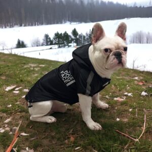Μπουφάν για Σκύλους Μαύρο- Hooded Jacket Black