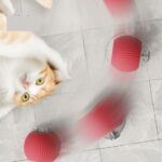 Διαδραστικό Παιχνίδι Γάτας με Μπάλα 1+1
