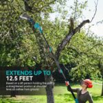 Σετ Αλυσοπρίονο και Ψαλίδι Κλαδέματος