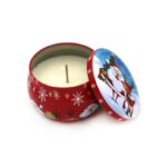 Σετ Χριστουγεννιάτικα Αρωματικά Κεριά σε Μεταλλική Συσκευασία 12 Τεμάχια